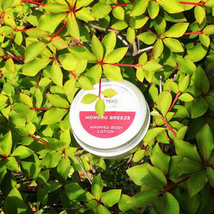 Island Breeze Whipped Lotion